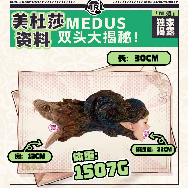 美杜莎